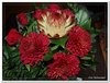 bloem00433