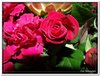 bloem00132