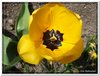 dscf2974