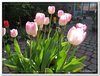 dscf2952