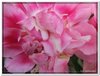 dscf2973