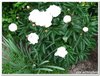 dscf3168