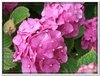 dscf1896