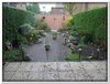 bloem00079