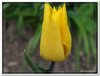 dscf2936