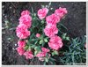 dscf3234