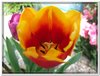 dscf2960