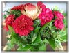 bloem00443