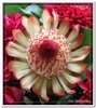 bloem00001