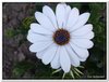 dscf2972
