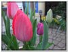dscf2948