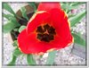 dscf2961