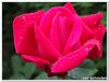 dscf3172