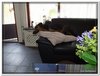 bloem00243