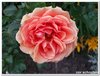 dscf3161
