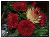 bloem00128