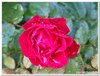 dscf3224