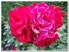 dscf3228