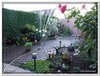 bloem00499