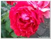 dscf3230