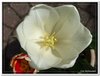 dscf2969