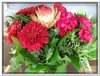 bloem00139