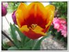dscf2959