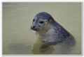 Image00019