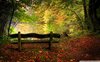 empty_bench_in_fall_scene-wallpaper-1920x1200