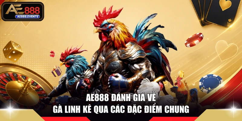 AE888 đánh giá về gà linh kê qua các đặc điểm chung