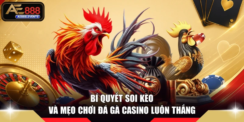 Bí quyết soi kèo và mẹo chơi đá gà casino luôn thắng