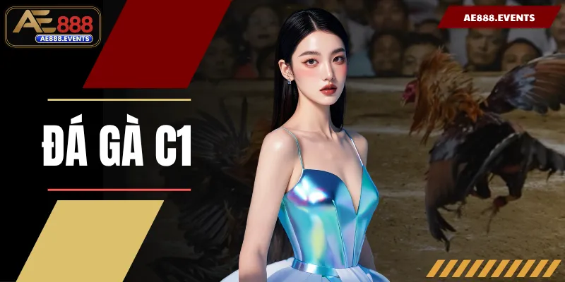 Đá Gà C1 | Xem 100+ Trận Trực Tiếp Trường Thomo Hôm Nay