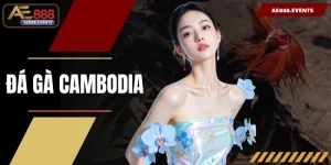 Đá Gà Cambodia | Bí Quyết Chọn Kèo Thắng Chuẩn Cùng AE888