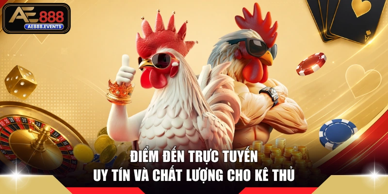 Điểm đến trực tuyến uy tín và chất lượng cho kê thủ