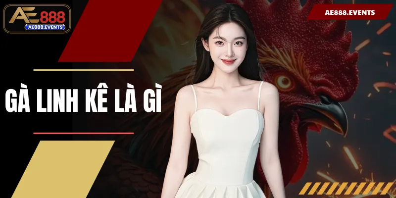 Gà Linh Kê Là Gì? Giải Mã 10 Đặc Điểm Nhận Biết Chuẩn