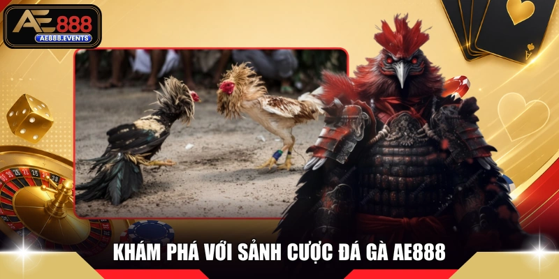Khám phá với sảnh cược đá gà AE888