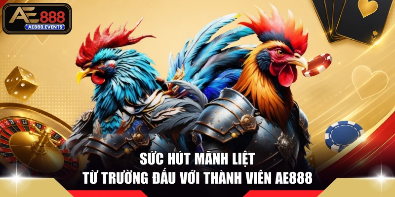 Sức hút mãnh liệt từ trường đấu với thành viên AE888