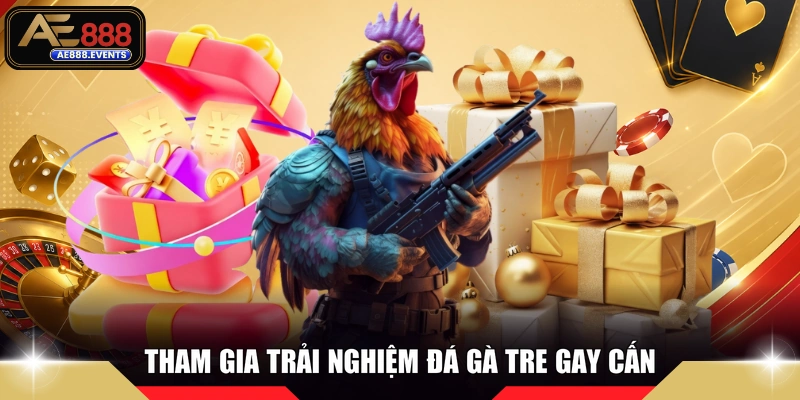 Tham gia trải nghiệm đá gà tre gay cấn