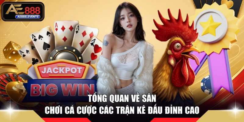 Tổng quan về sân chơi cá cược các trận kê đấu đỉnh cao