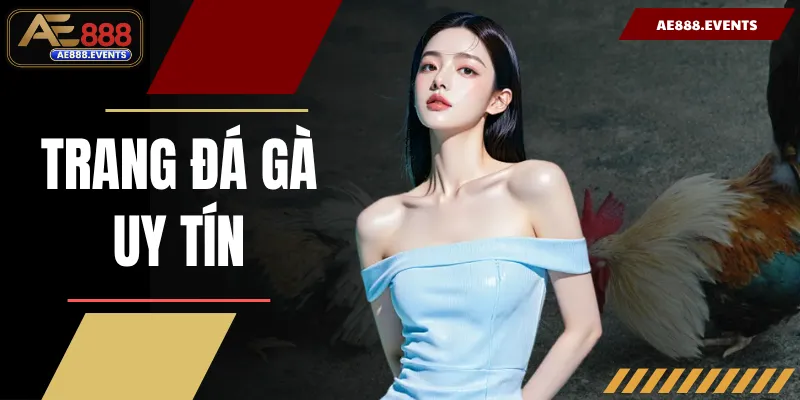 Trang Đá Gà Uy Tín AE888: Sân Chơi Cá Cược Đẳng Cấp Đỉnh Cao