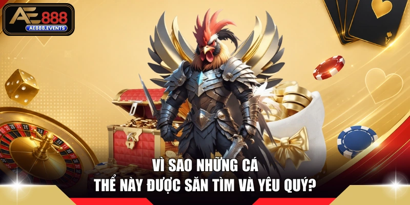Vì sao những cá thể này được săn tìm và yêu quý?